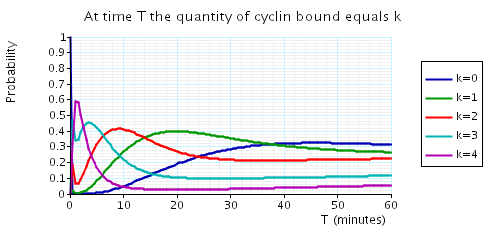 plot: probability k cyclin_bound elements at time instant T (T small and N=4)